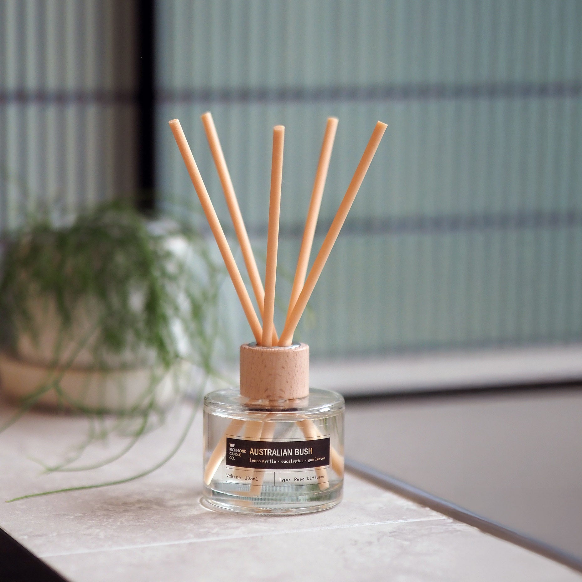 Reed diffuser with natural wooden sticks in a bathroom with a pot plant in the background
