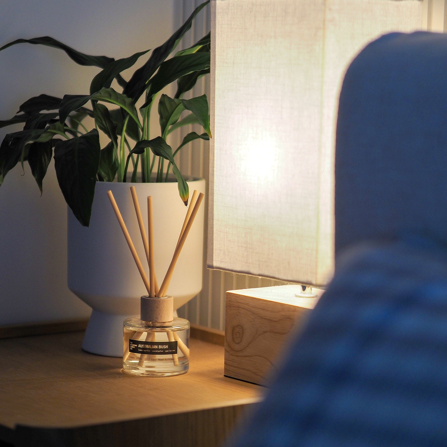 A reed diffuser with wooden sticks and a plant on a bedside table next to a lamp